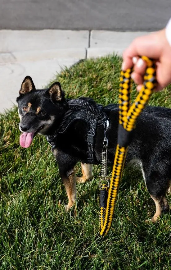 Petique Reflective Leashes with Shock Absorber