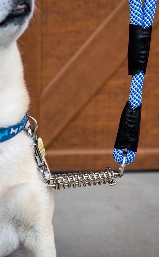 Petique Reflective Leashes with Shock Absorber