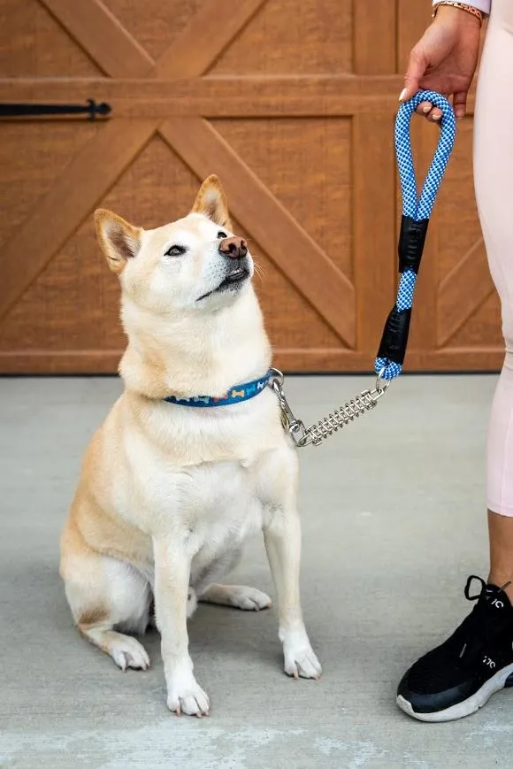 Petique Reflective Leashes with Shock Absorber