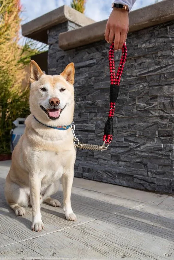 Petique Reflective Leashes with Shock Absorber