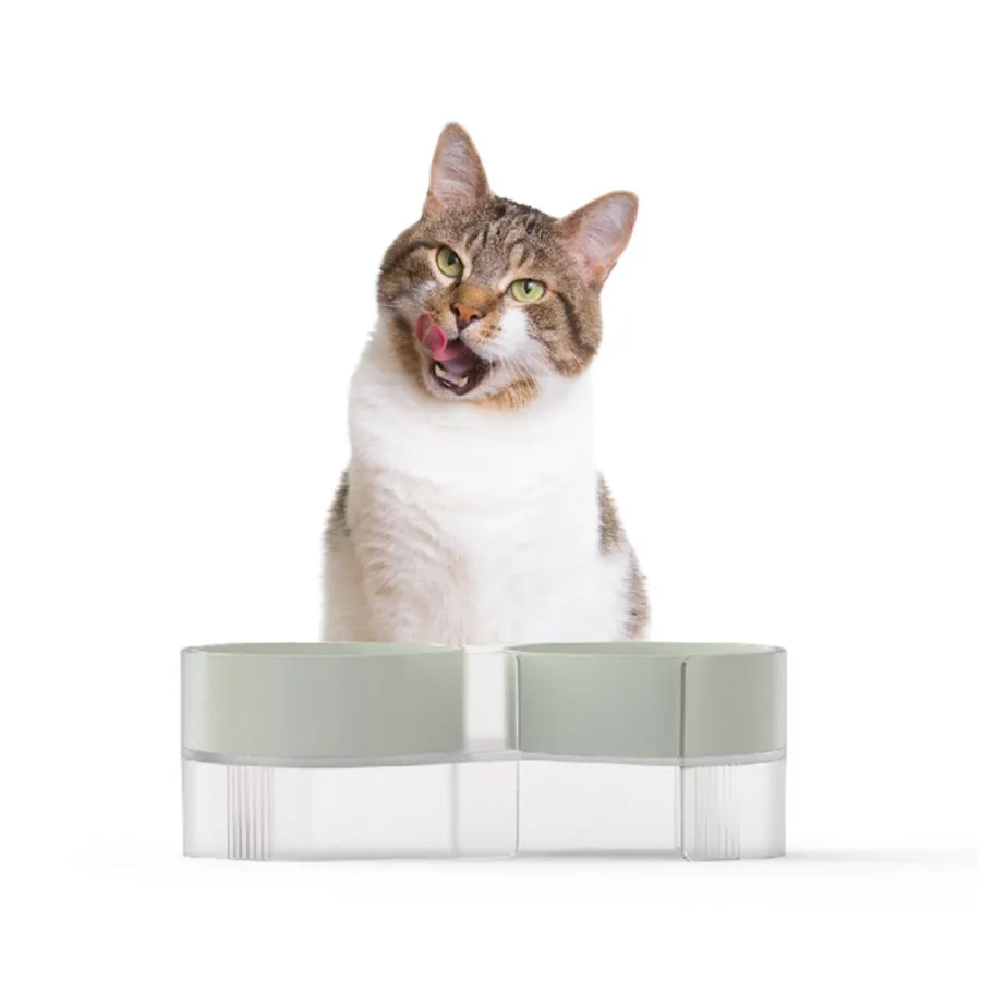 Pidan Dual Bowl for Cats Green