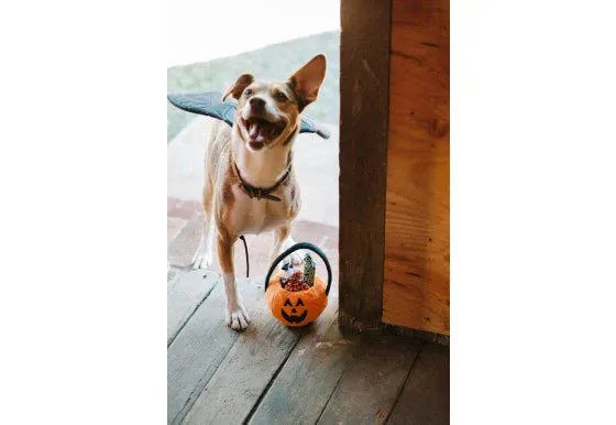 PLAY Dog Toy Halloween Basket & Candies