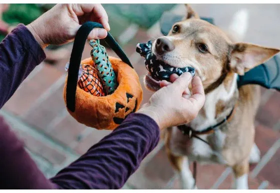 PLAY Dog Toy Halloween Basket & Candies