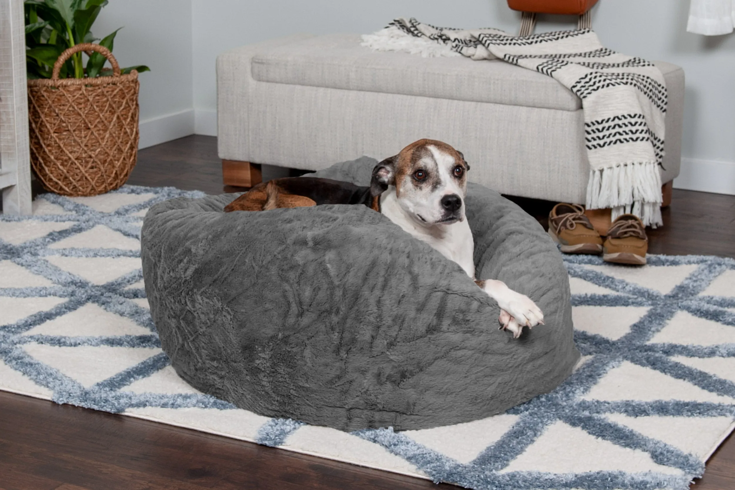 Plush Ball Dog Bed