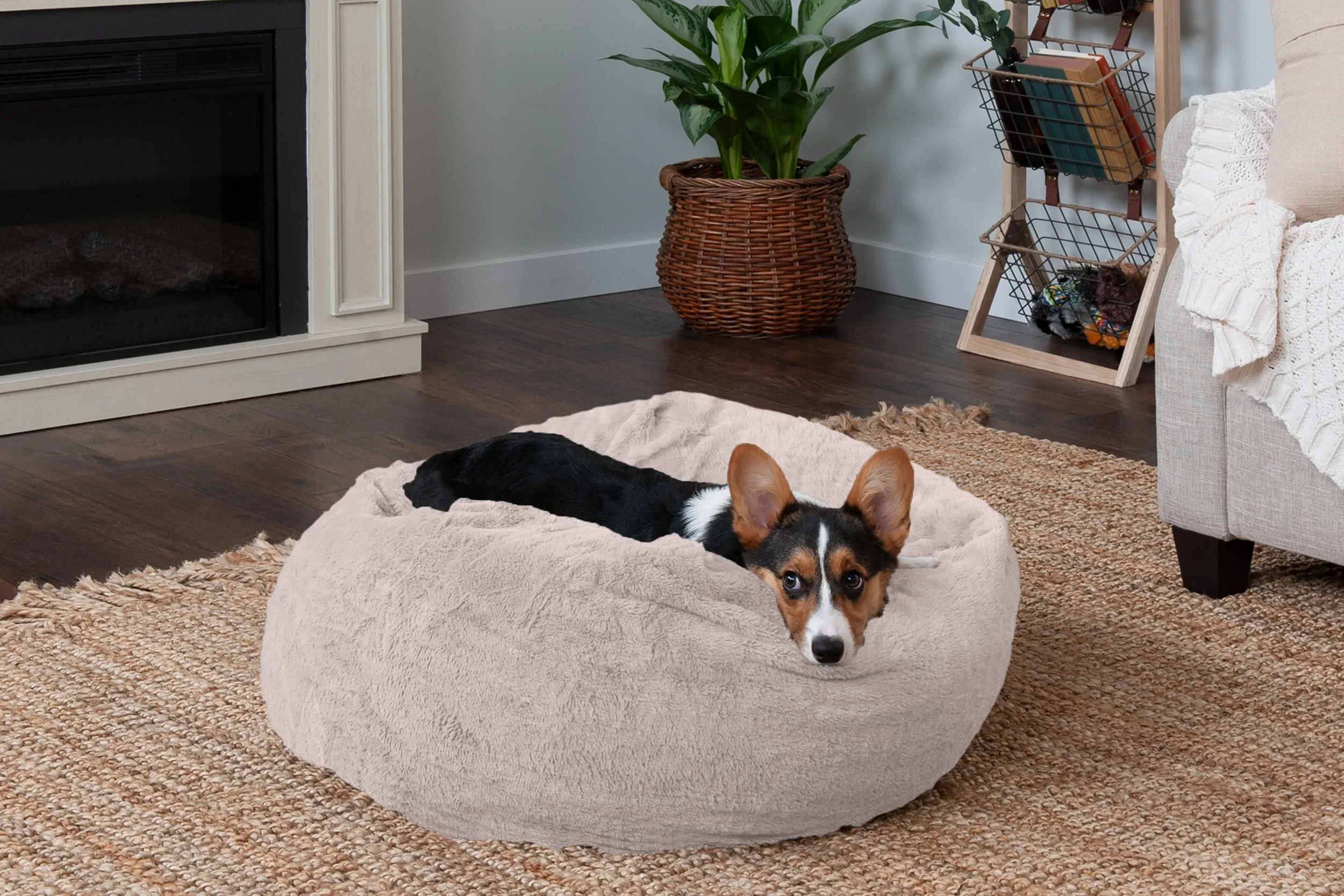 Plush Ball Dog Bed