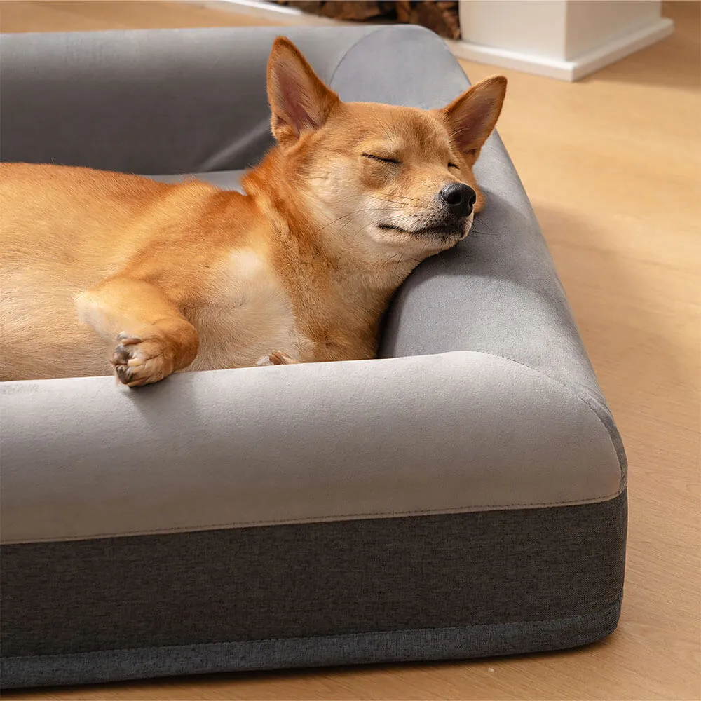 Premium Orthopedic Dog Bed Blissful Sleep With Joyful Play Digging Beds