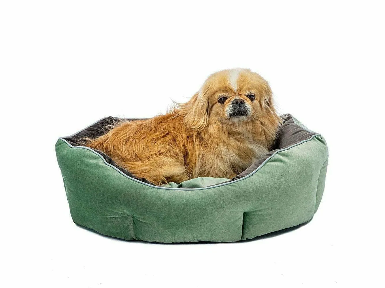 Queen 45 Green Grey Kennel