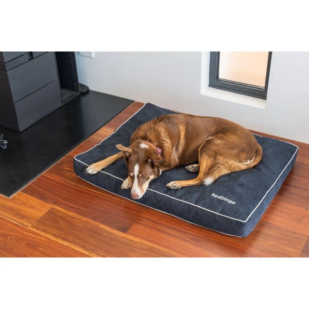 Red Dingo Premium Mattress Dog Bed (Chocolate)