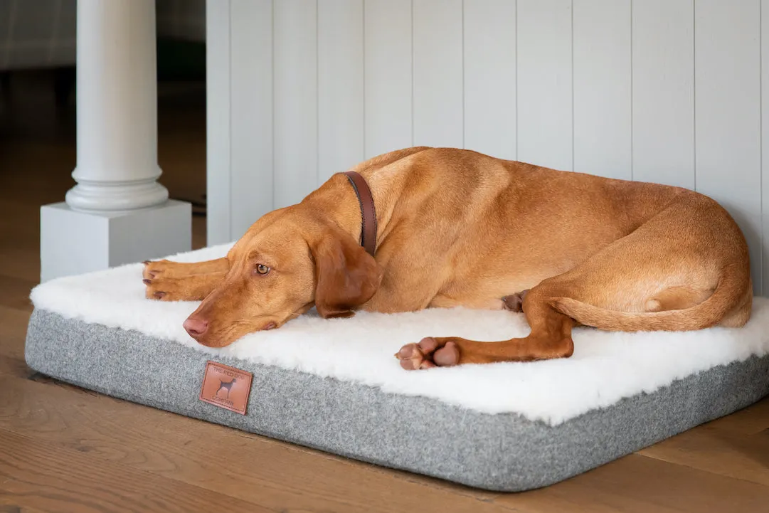 Slate Grey Bespoke Dog Mat