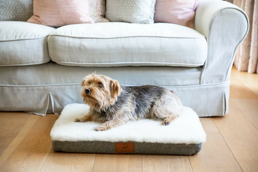 Slate Grey Bespoke Dog Mat