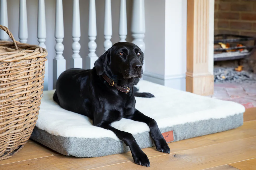 Slate Grey Bespoke Dog Mat