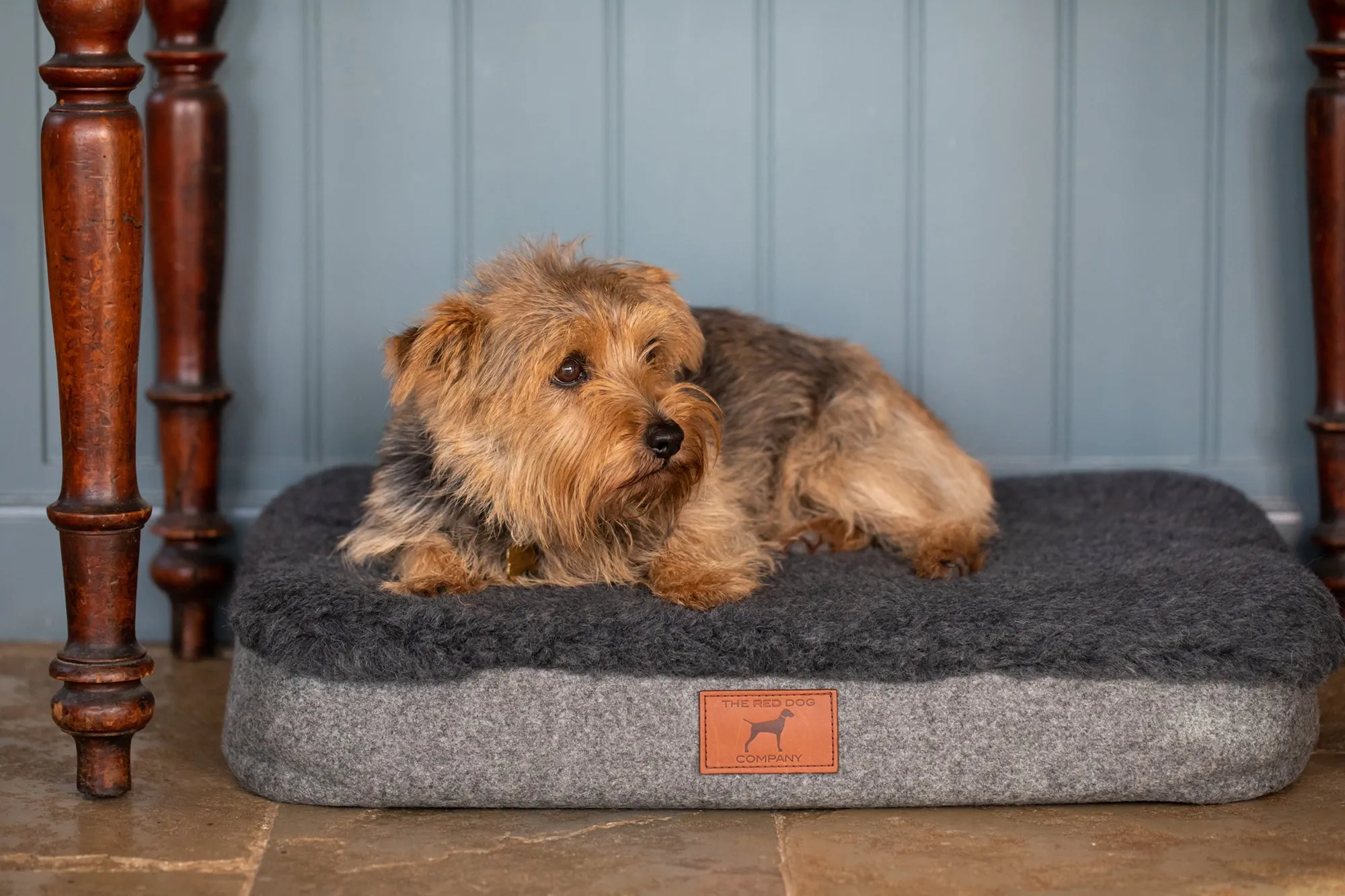 Slate Grey Dog Mat