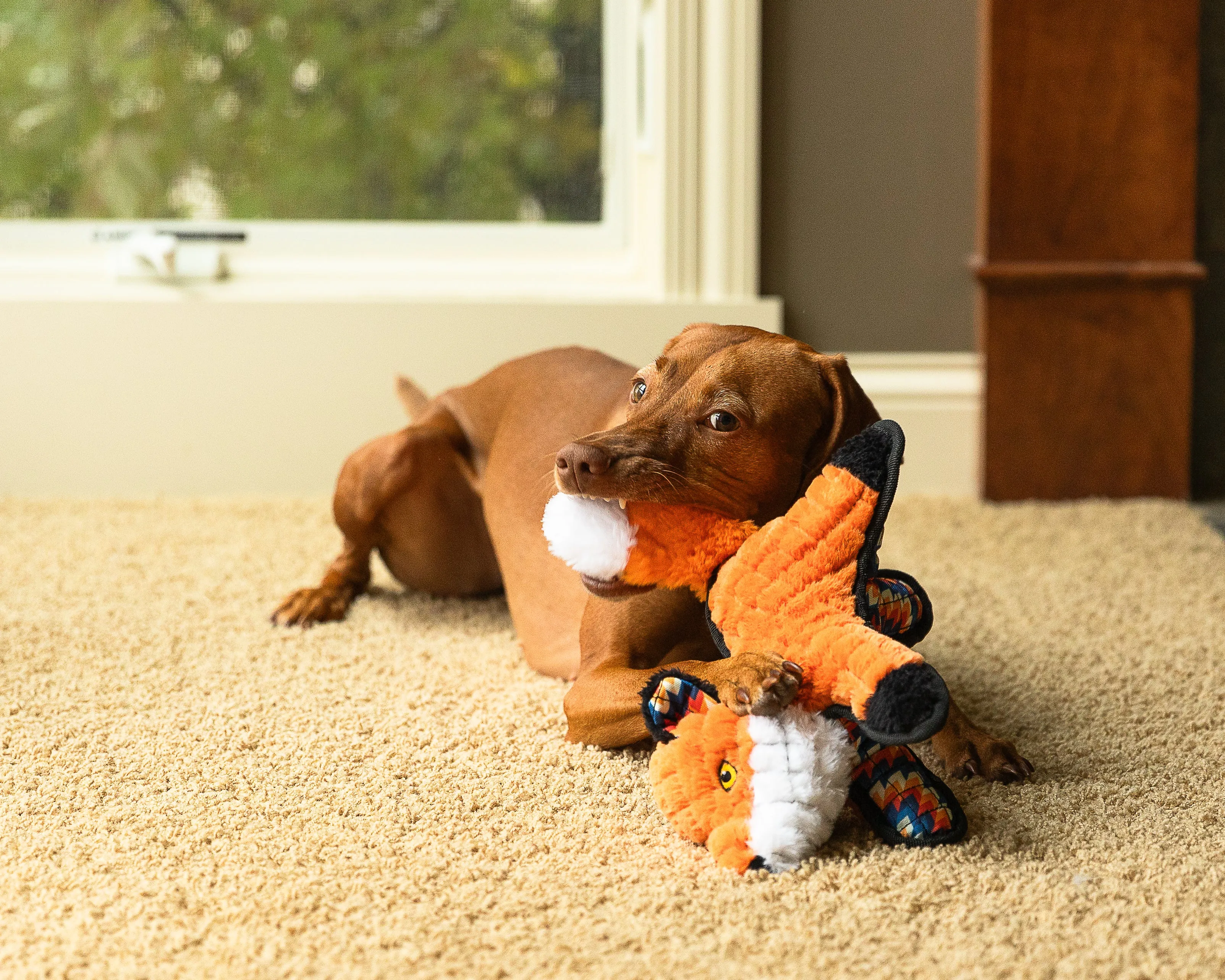 Sly Fox Dog Toy