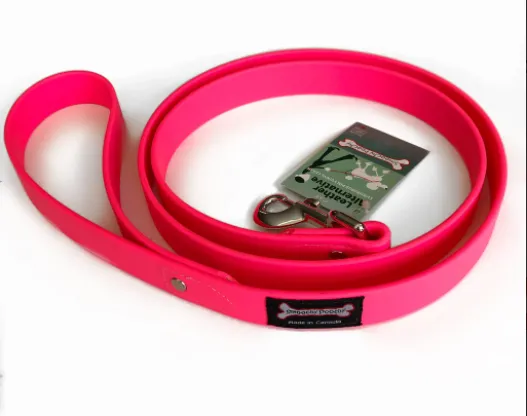 Smoochy Poochy Polyvinyl Regular Style Leash - Various Colours