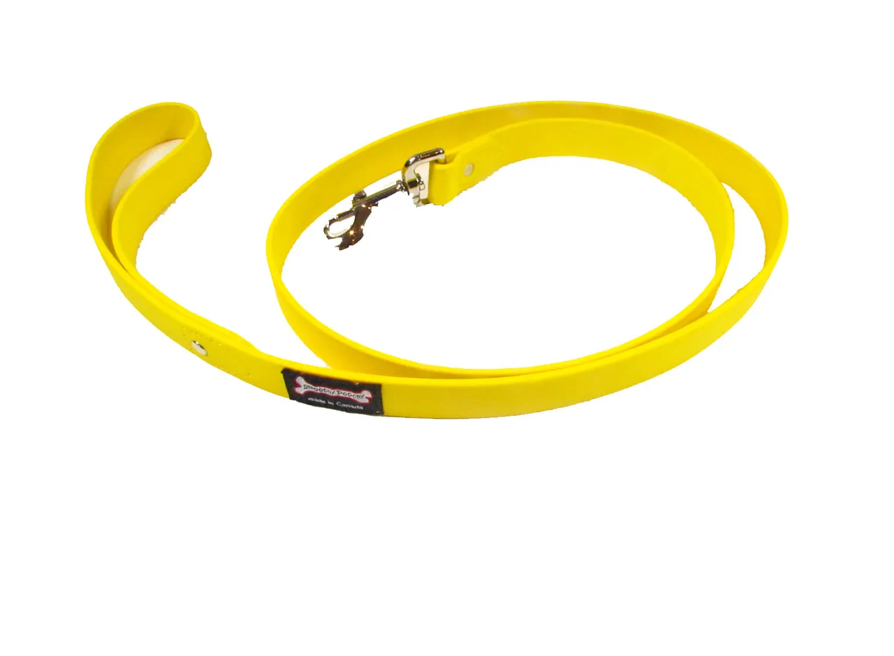 Smoochy Poochy Polyvinyl Regular Style Leash - Various Colours