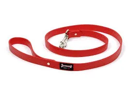 Smoochy Poochy Polyvinyl Regular Style Leash - Various Colours