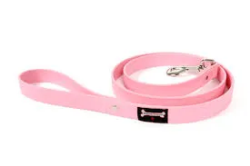 Smoochy Poochy Polyvinyl Regular Style Leash - Various Colours