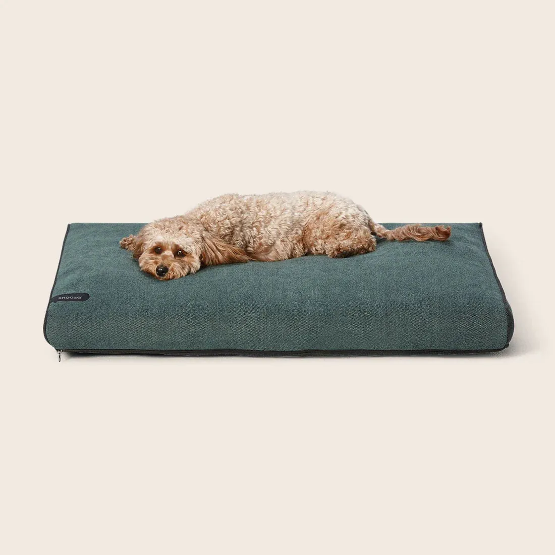 Snooza Modern Dog Daybed