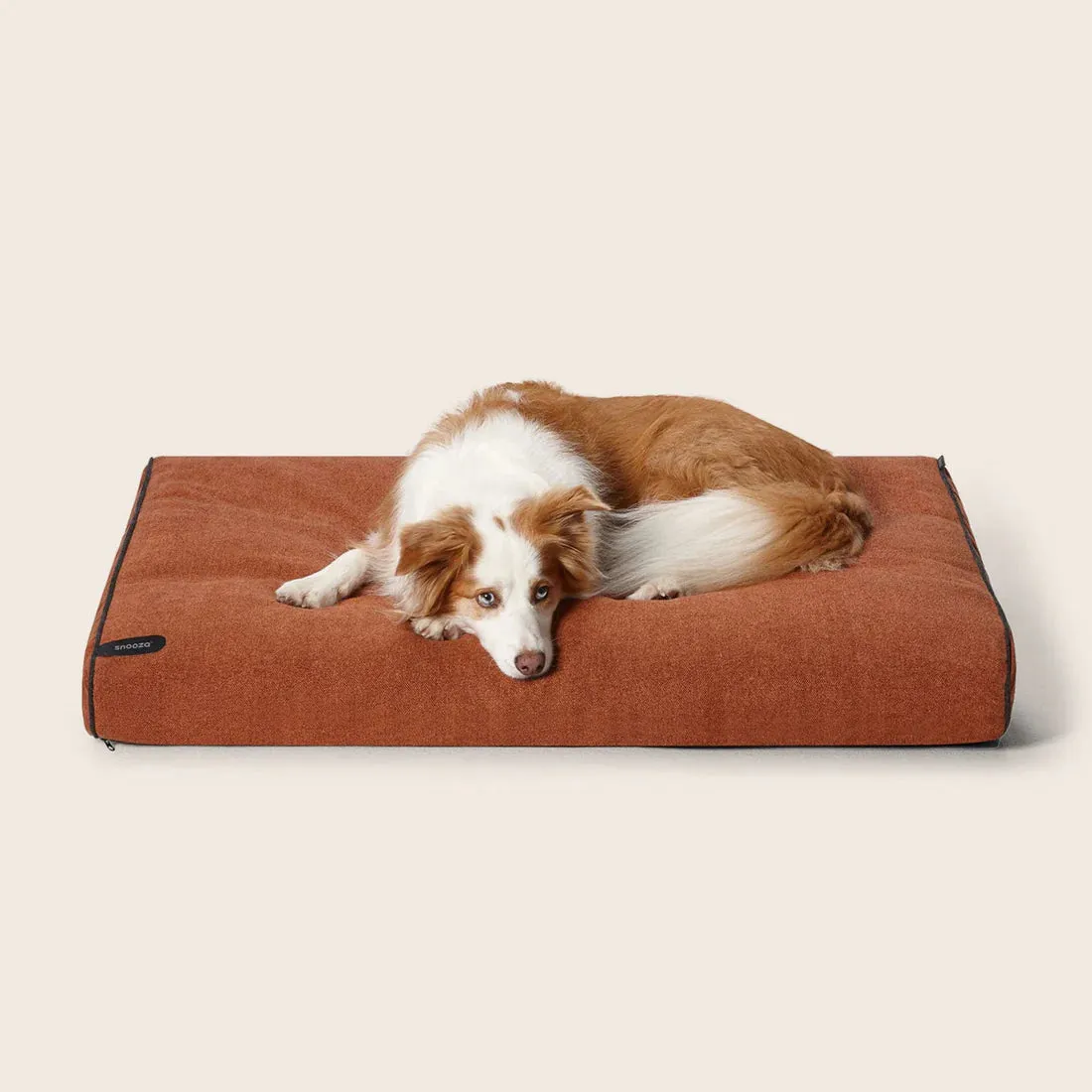 Snooza Modern Dog Daybed