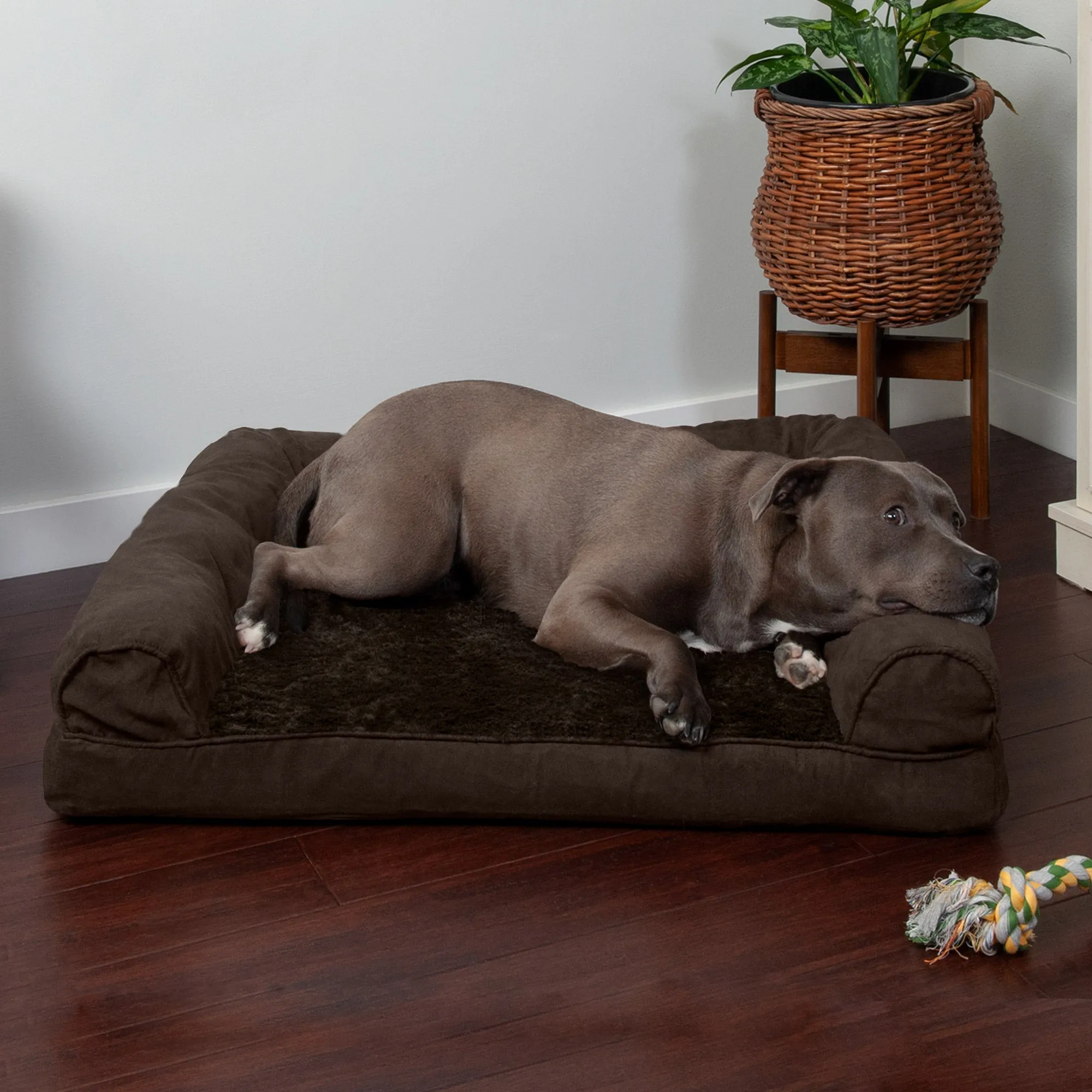 Sofa Dog Bed - Plush & Suede