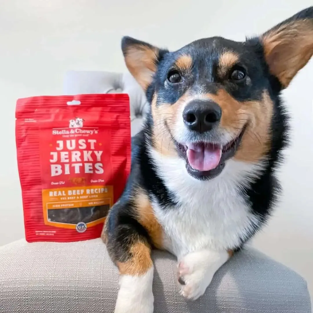 Stella & Chewy's Just Jerky Bites Beef Recipe Dog Treats