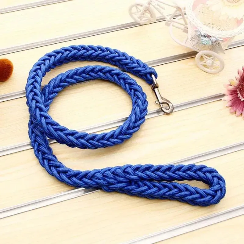 Super Strong Nylon Dog Leash Medium-Large Breed