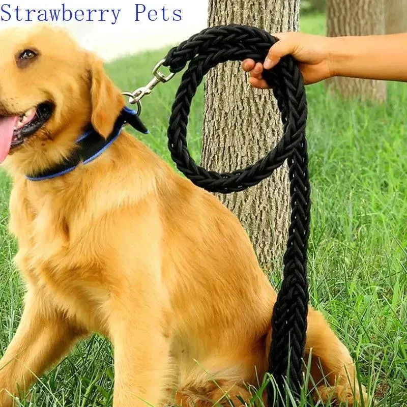 Super Strong Nylon Dog Leash Medium-Large Breed