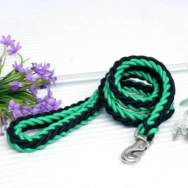 Super Strong Nylon Dog Leash Medium-Large Breed