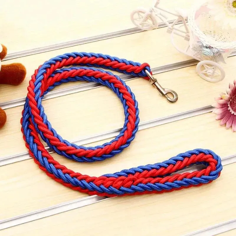 Super Strong Nylon Dog Leash Medium-Large Breed