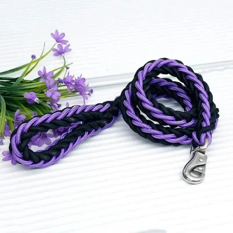 Super Strong Nylon Dog Leash Medium-Large Breed