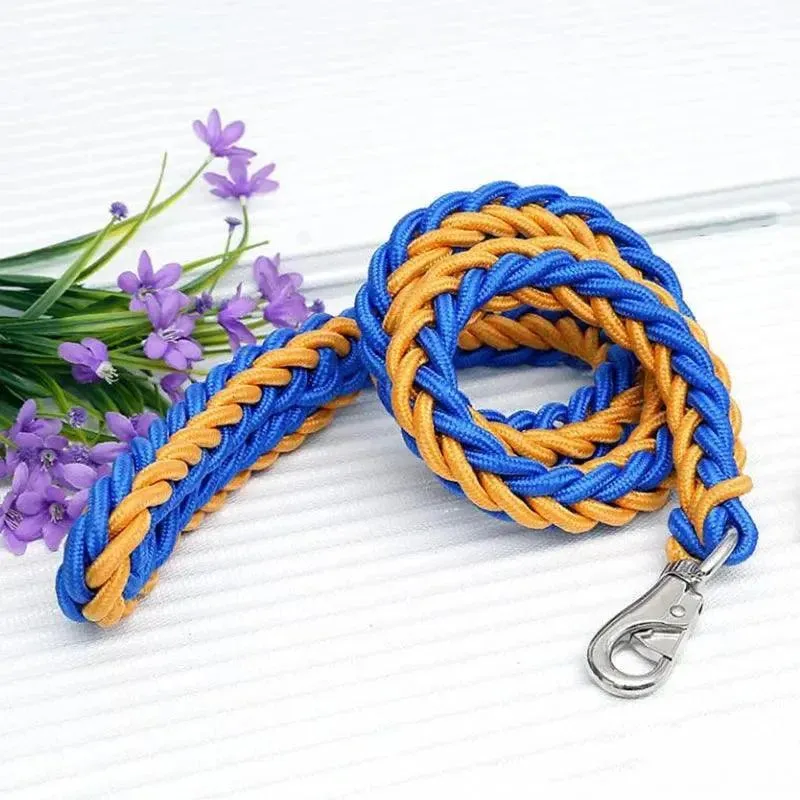 Super Strong Nylon Dog Leash Medium-Large Breed