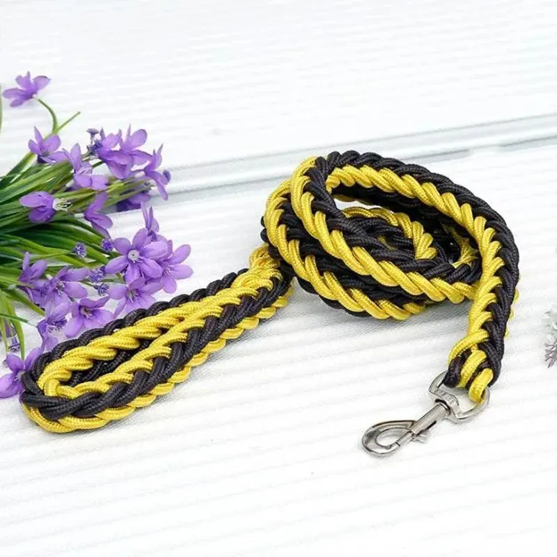 Super Strong Nylon Dog Leash Medium-Large Breed