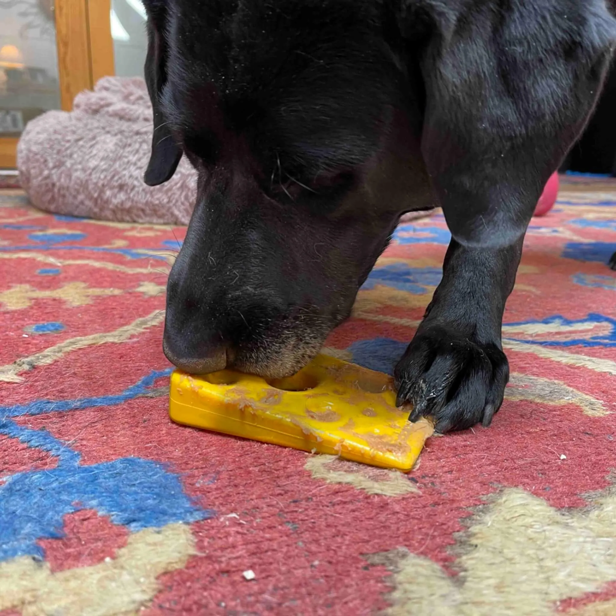 Swiss Cheese Wedge Dog Chew Toy