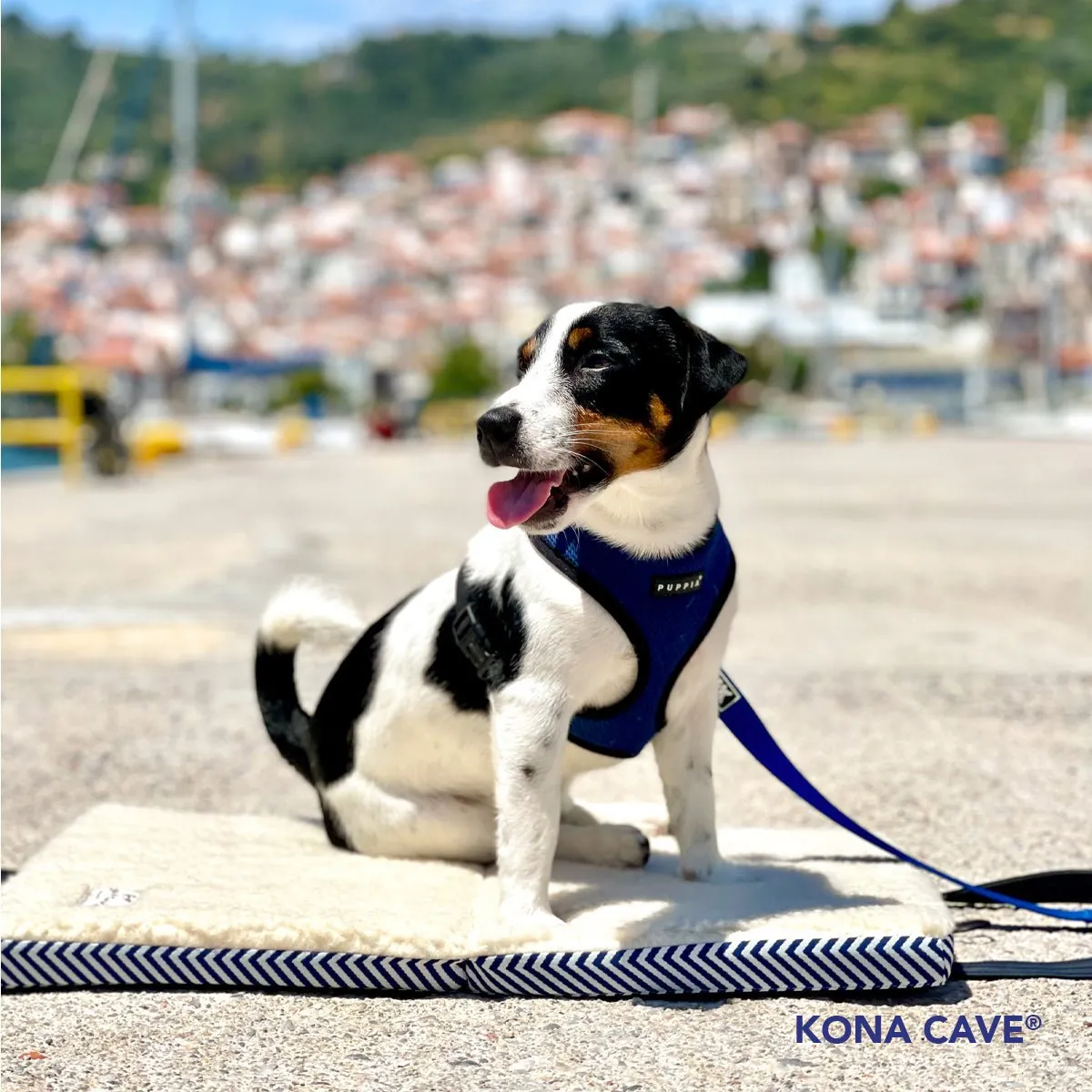 Travel Dog Bed - Nautical Blue Wave with Fluffy Wool Lining